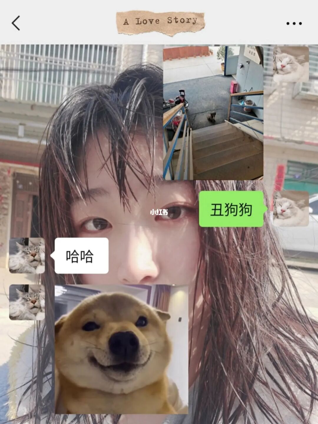 无敌才女的恋爱成功史_权限狗的恋爱史肉 09_恋爱陷阱by叫我小肉肉