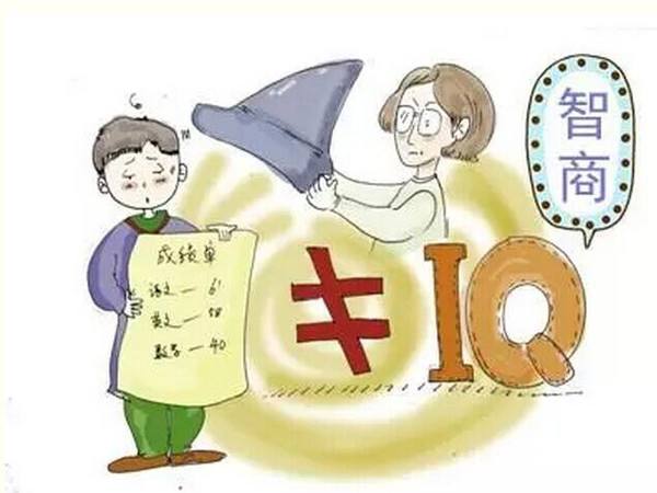 智力损失_智力几级算完全伤失劳动能力_智力残疾属于完全行为能力人吗