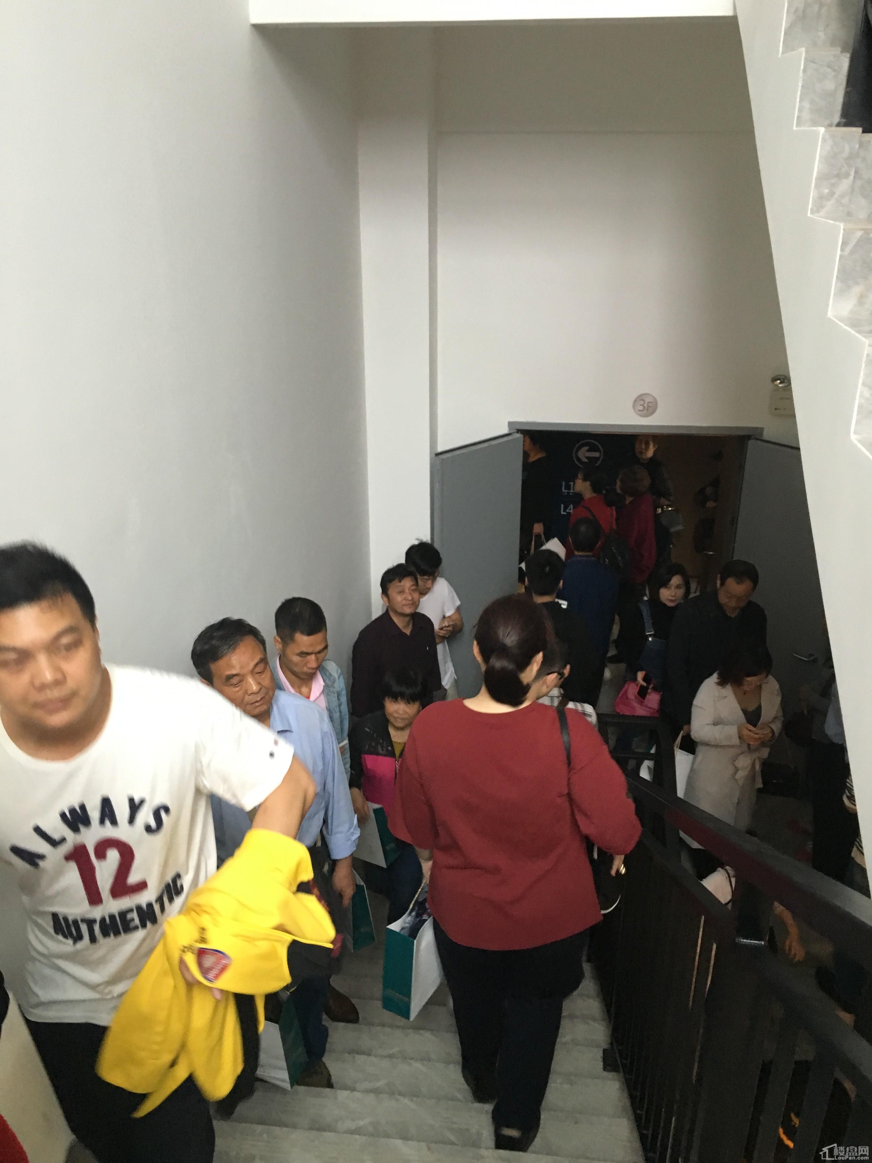 完美国际小强挤号器_完美国际小强掉线_完美国际小助手挂机打怪
