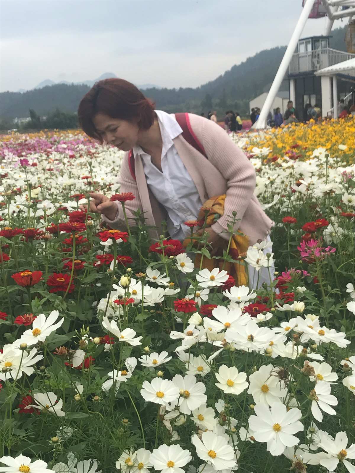 魔术士奥芬百度百科_魔术士奥芬_魔术士奥芬的无赖