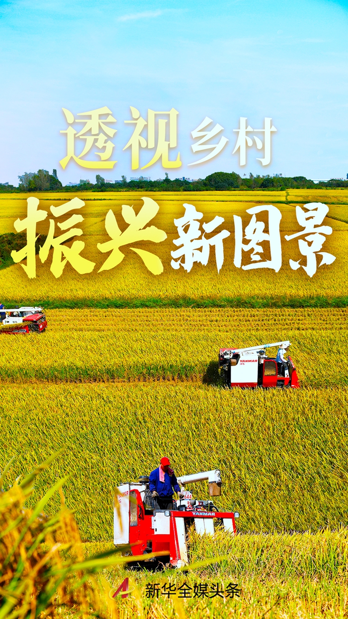 乡村联盟系列有哪些_乡村联盟系列_乡村英雄联盟