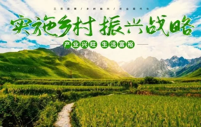 乡村英雄联盟_乡村联盟系列有哪些_乡村联盟系列