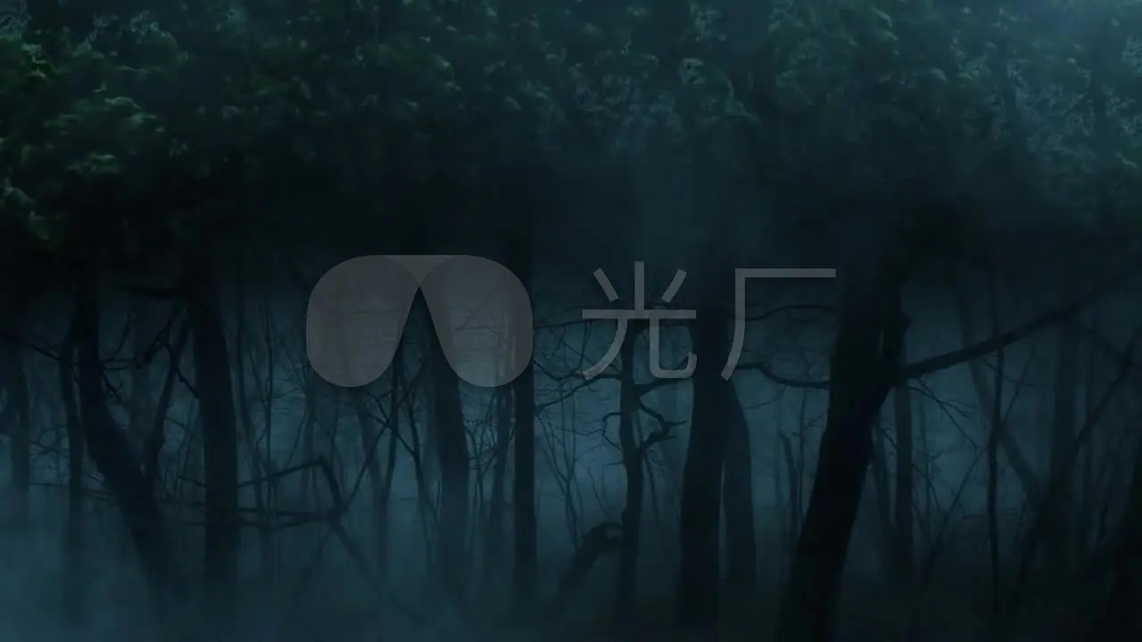 狂枭孙枭杰_独眼的枭和不杀之枭_白枭