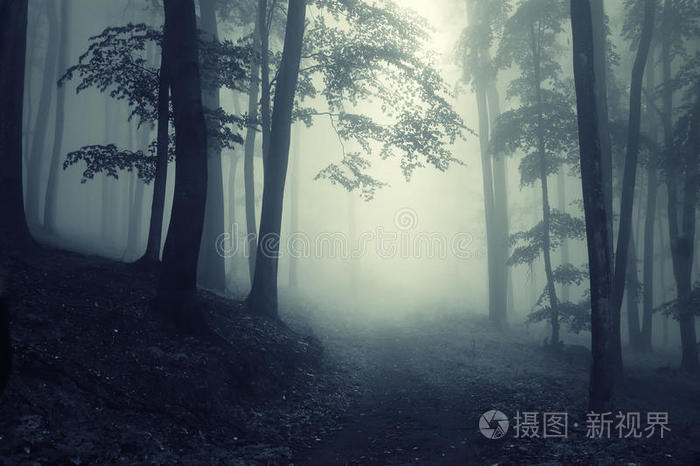 狂枭孙枭杰_白枭_独眼的枭和不杀之枭