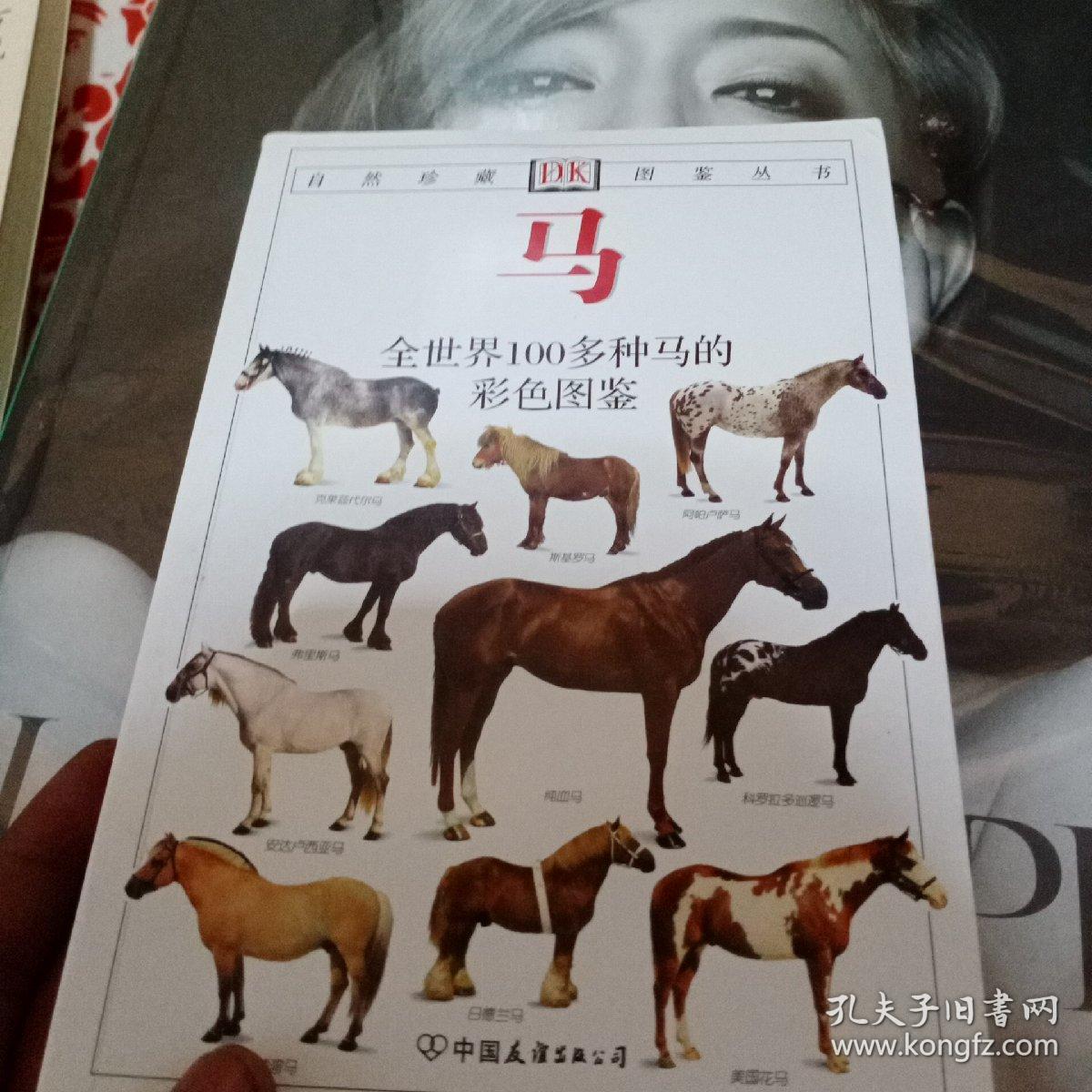火马饲料创造与魔法怎么做_创造与魔法饲料火马饲料怎么做_创造与魔法火马饲料