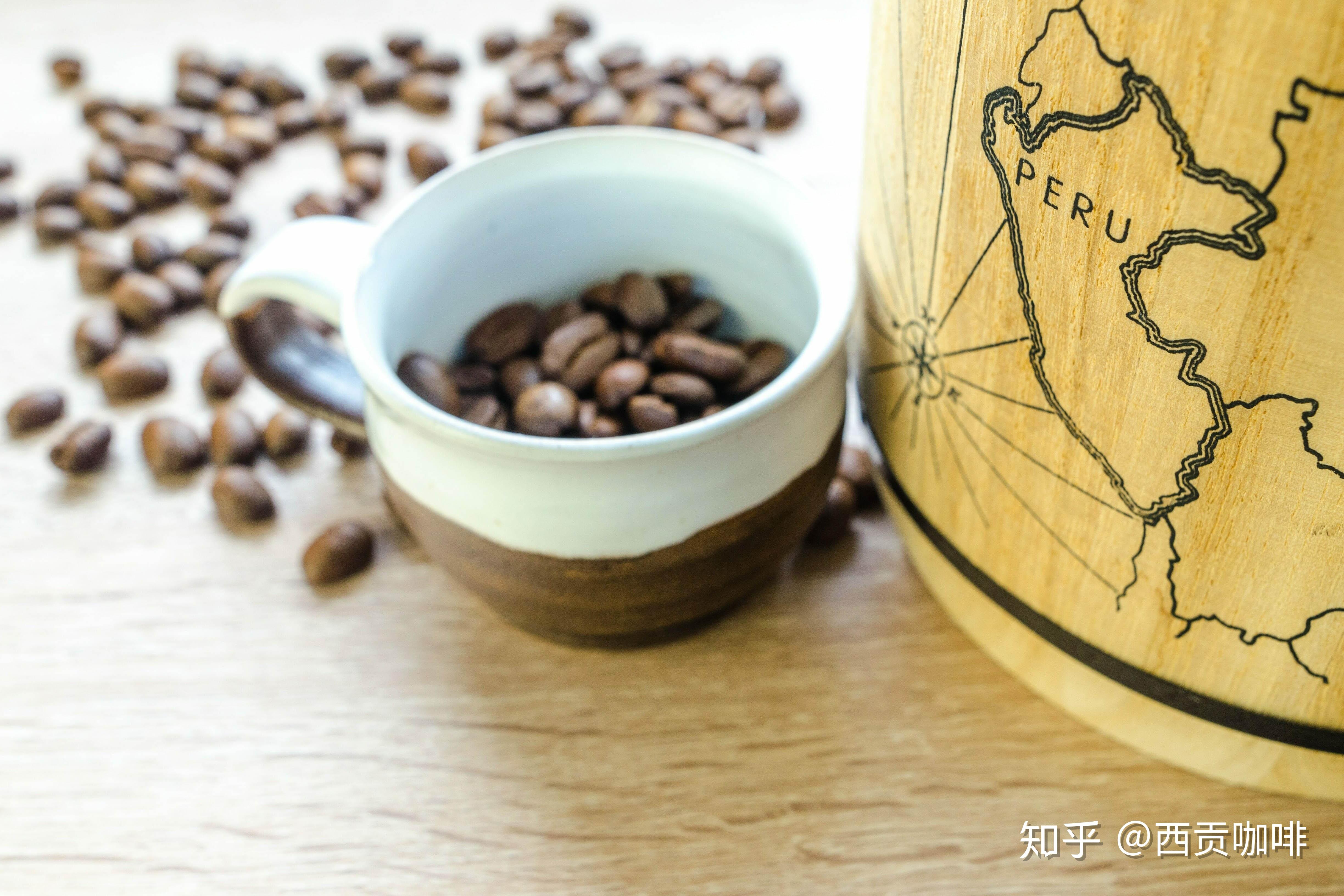 尼克贝利克_越狱布拉德贝利克复活_贝利克