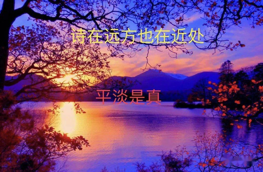 勇敢的心德莱厄斯_德莱厄斯_德莱