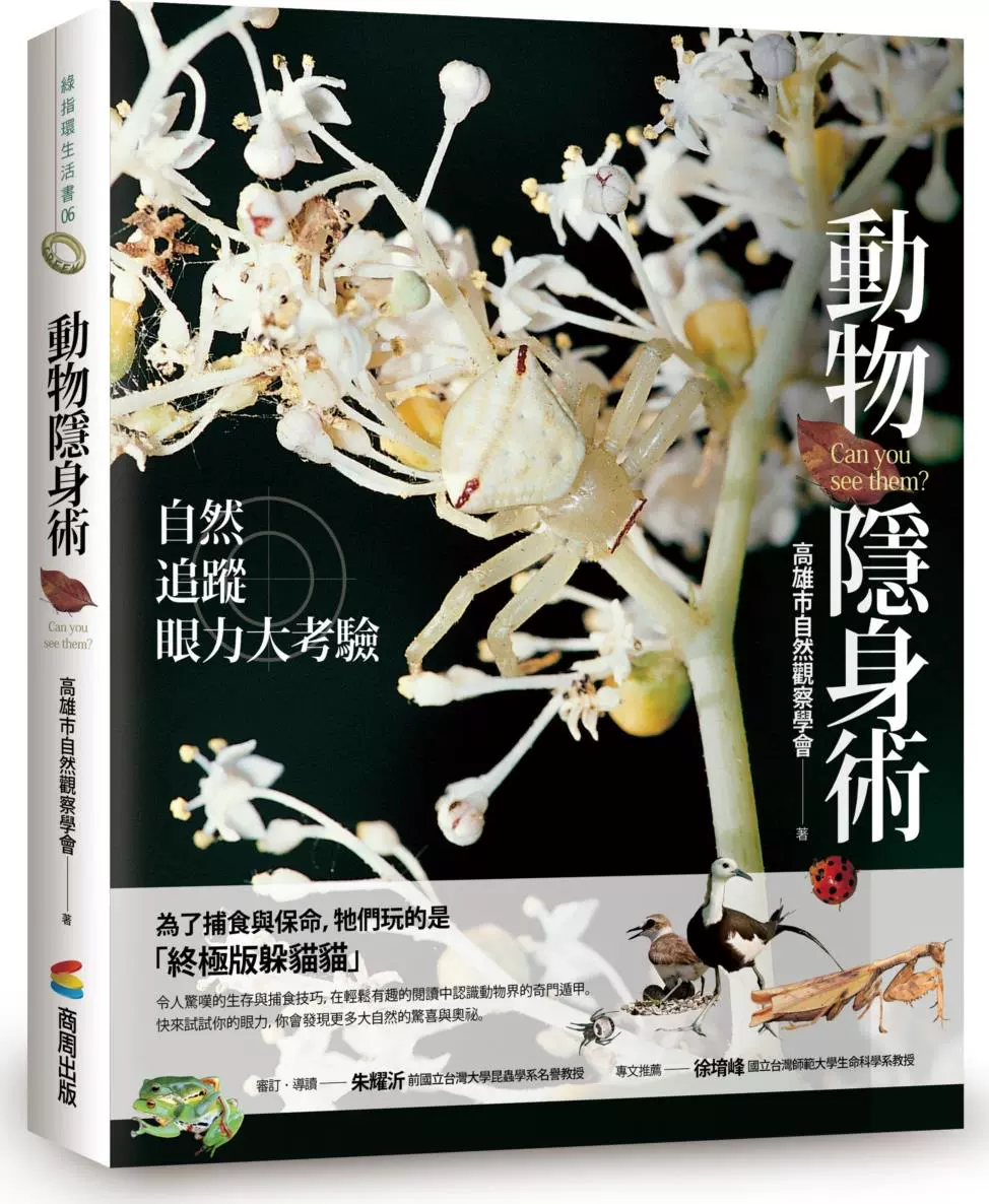隐身术的等级排位_隐身术能干什么_隐身术怎么学呢