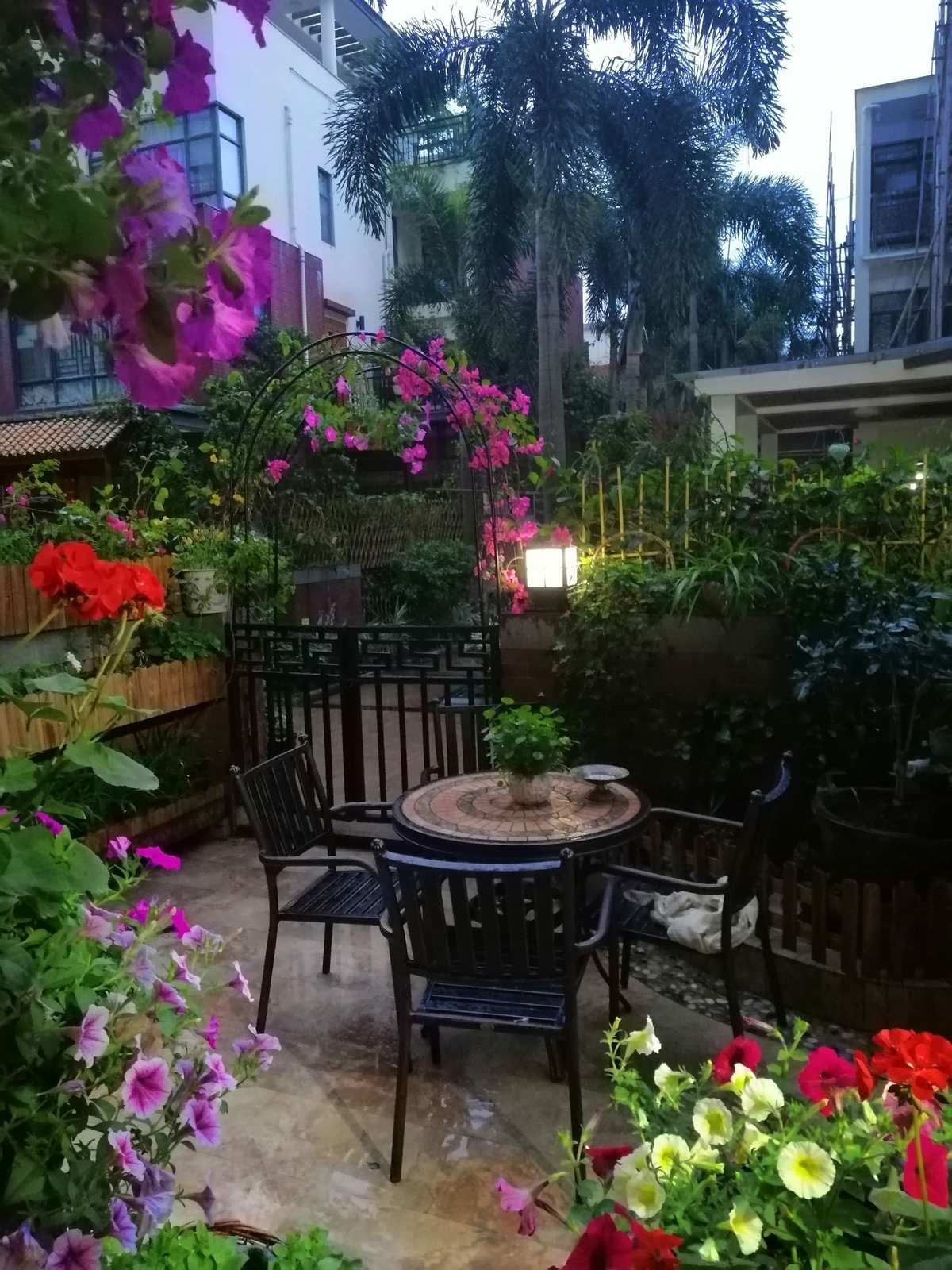 风雨楼_风雨楼电视剧_风雨楼在什么地方