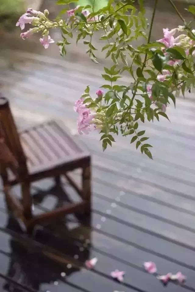 风雨楼_风雨楼电视剧_风雨楼在什么地方