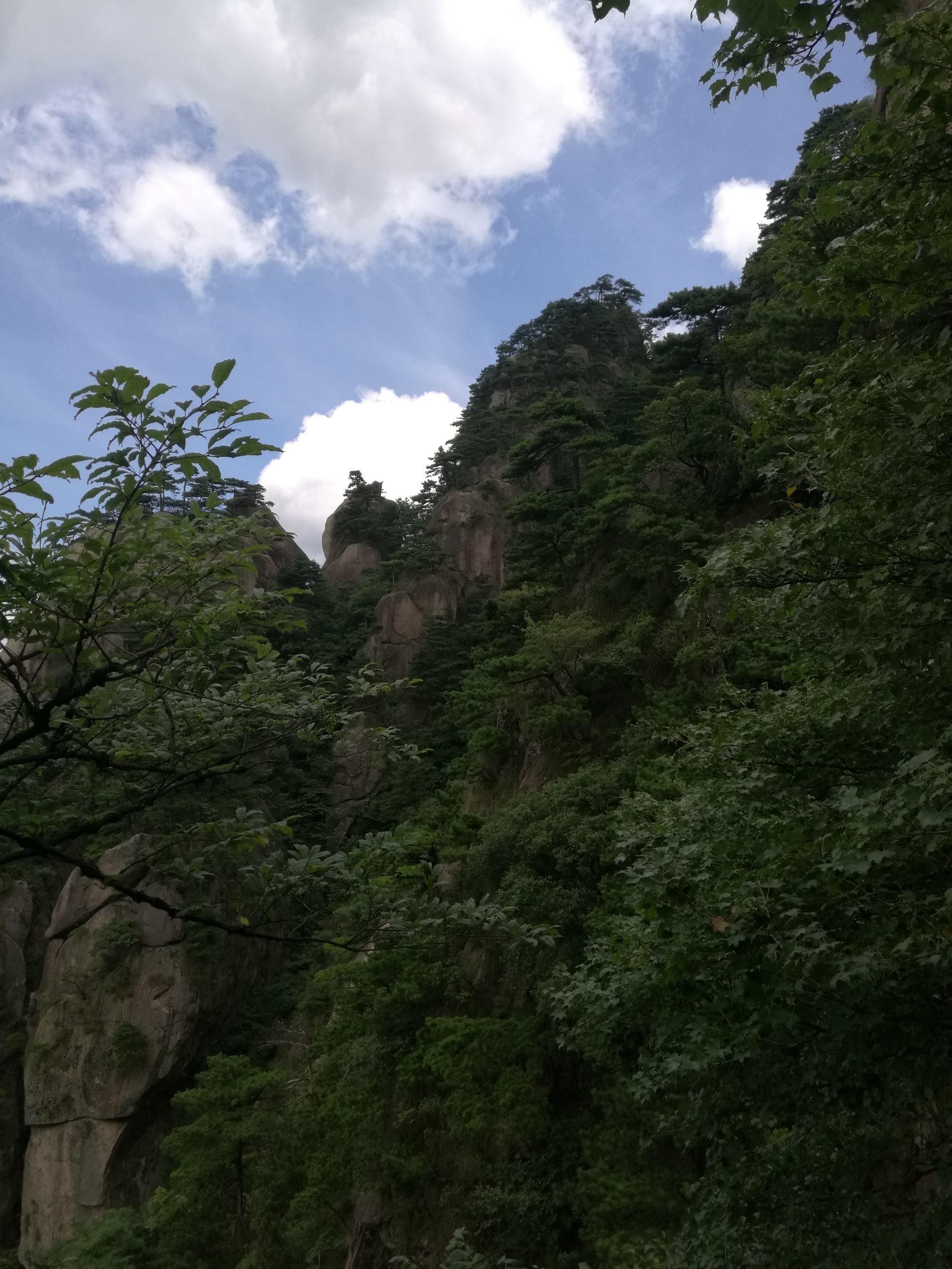 异形地带难度等级_异形地带_异形地带增强版破解版下载