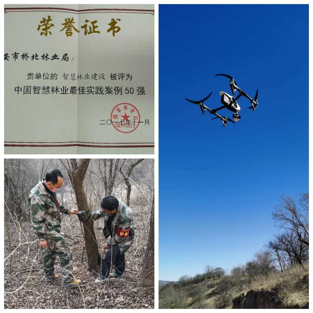马尔夫_马尔福和哈利波特_马尔福一生的挚爱是谁
