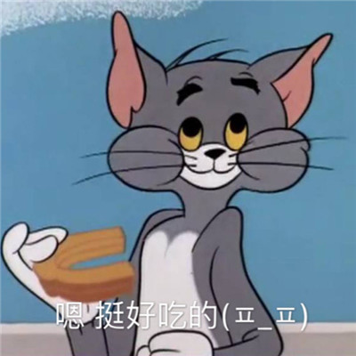 会说话的汤姆猫2高清版_汤姆猫说话汤姆猫_汤姆猫说话免费下载