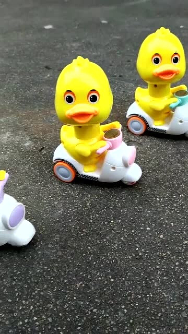 鸭子的视频儿歌视频_鳄鱼小顽皮找鸭子3下载_鸭子视频小鸭子