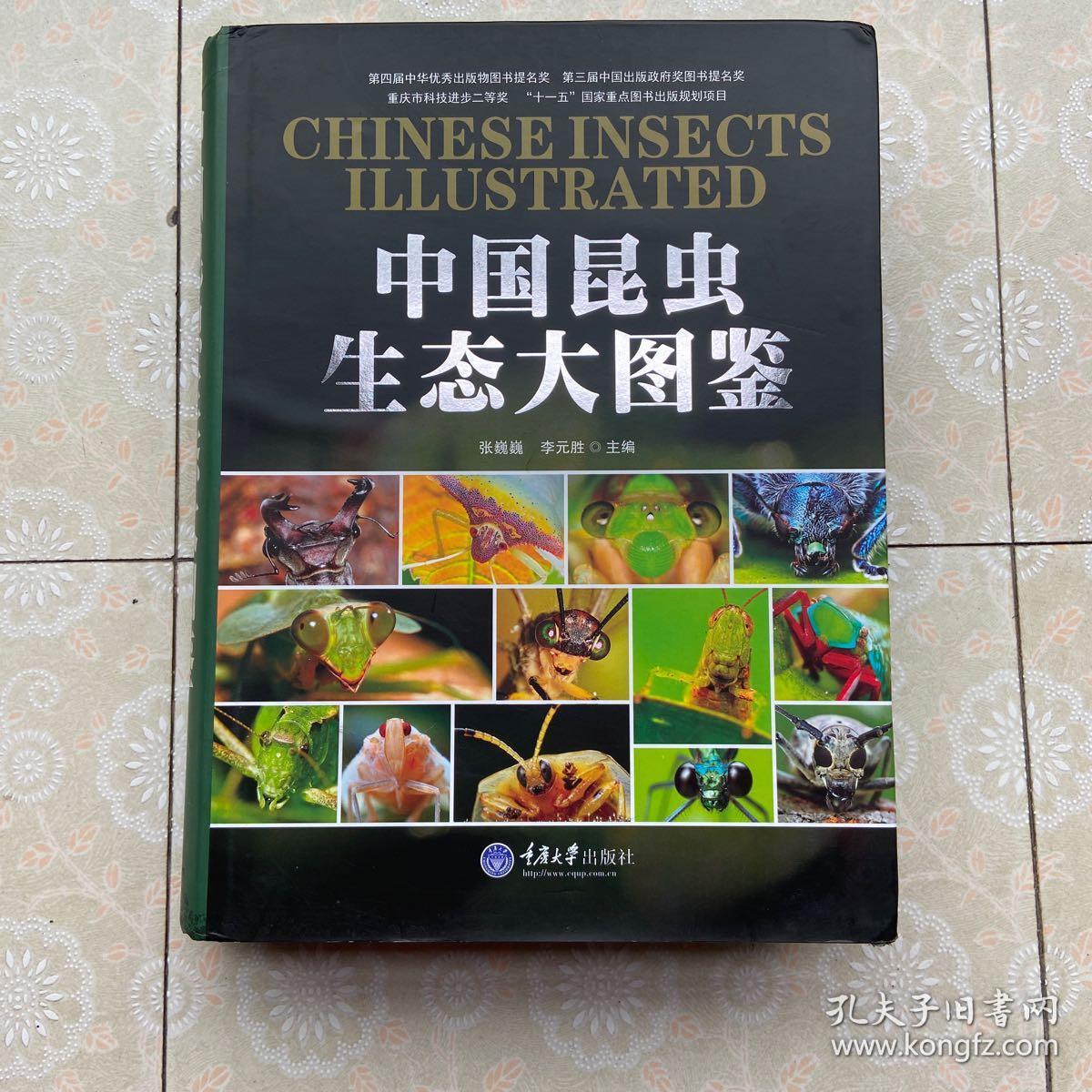 抓黄飞电谁的坐骑_爪黄飞电马是谁的坐骑_爪黄飞电
