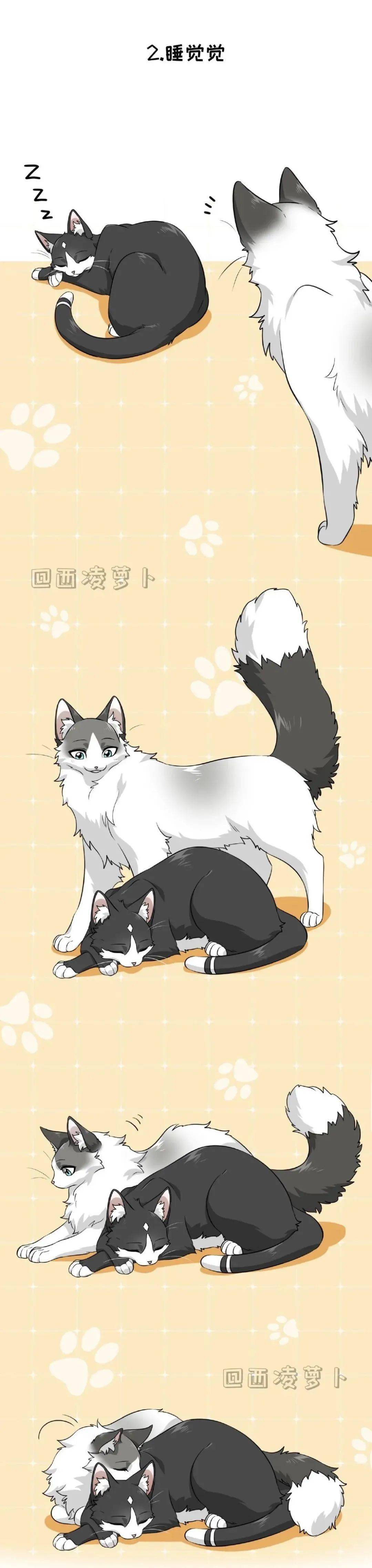 漫猫猫_漫猫猫娃厂怎么样_漫猫猫娃厂