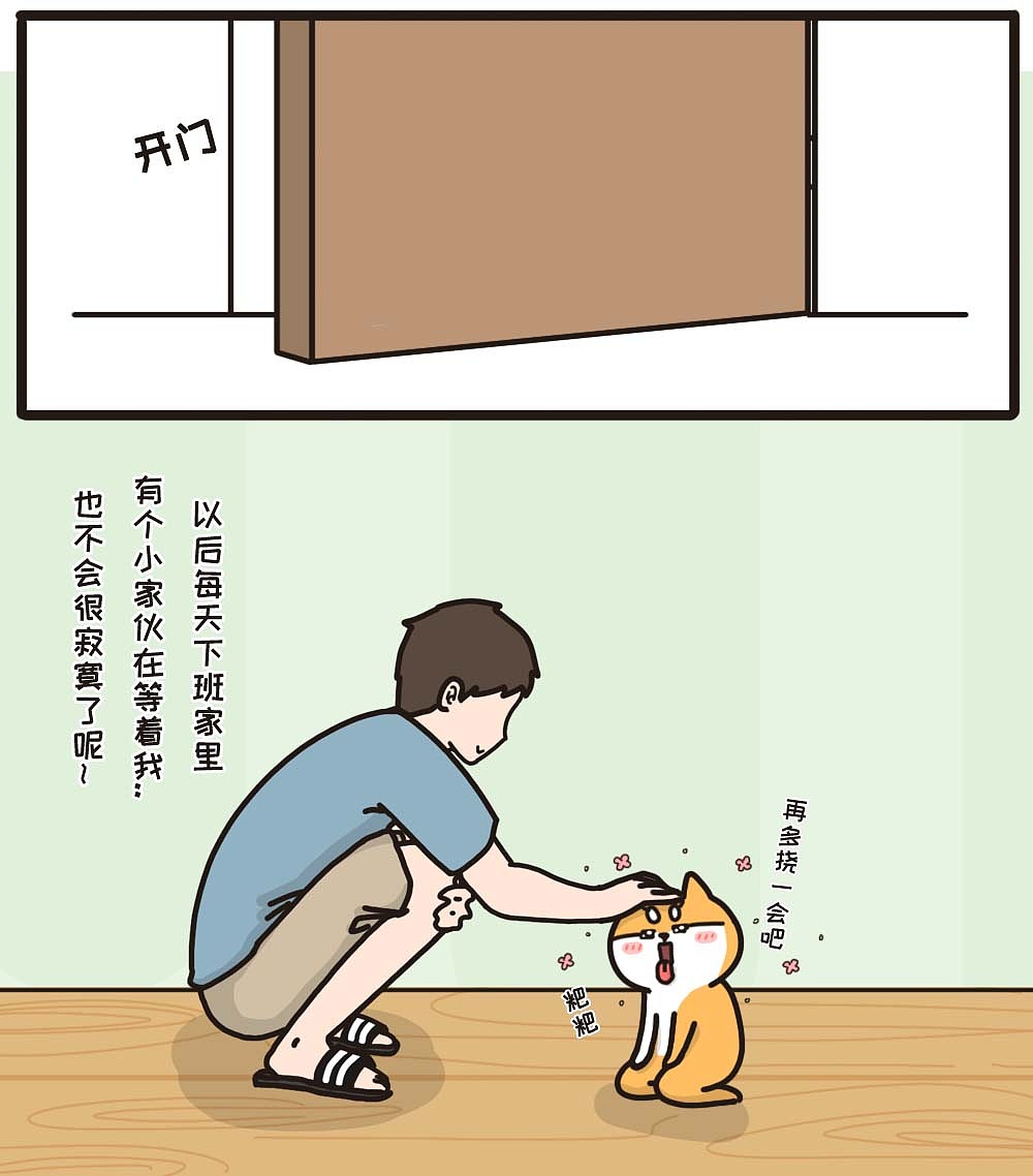 漫猫猫娃厂_漫猫猫娃厂怎么样_漫猫猫
