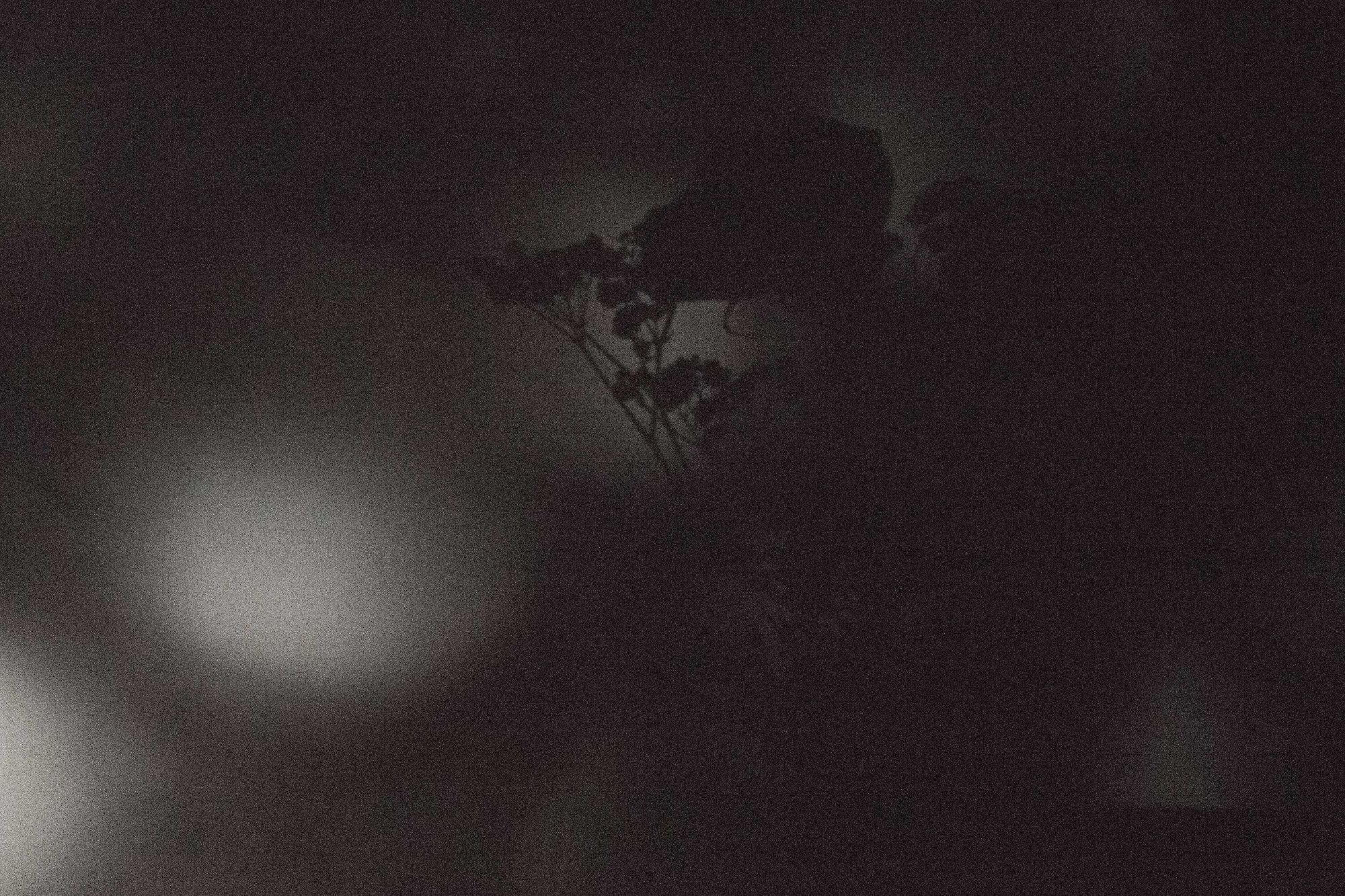 黎明黑暗的歌曲_黑暗与黎明_黎明黑暗小说
