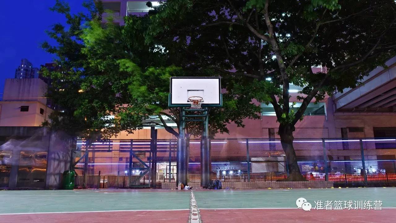 灌篮高手花形_花形灌篮高手_灌篮高手手游花型测评
