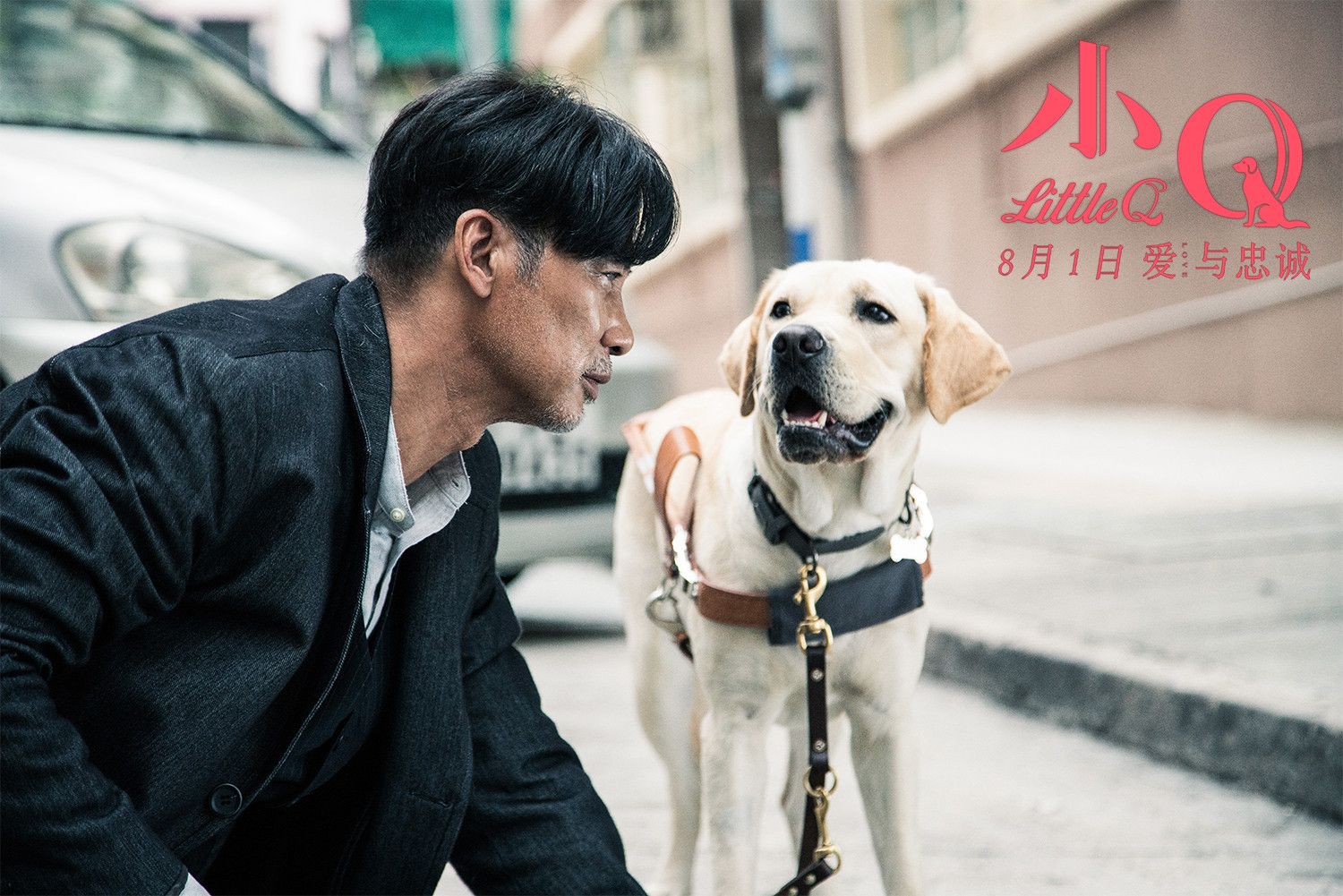 鹰犬怎么打_dnf鹰犬_鹰犬