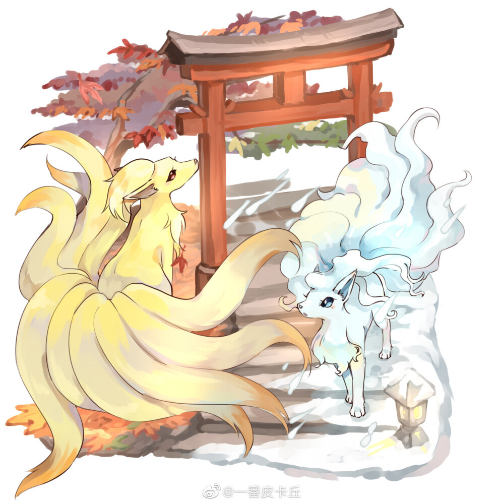 宝可梦九尾种族值_九尾种族值_九尾种族值