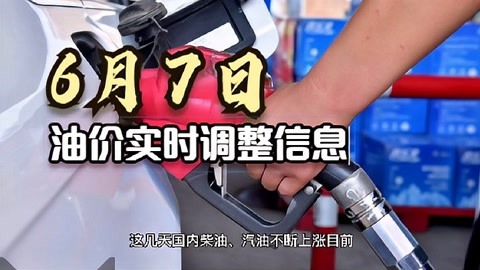 加油广东下载不了_加油广东下载安装官方_加油广东app下载