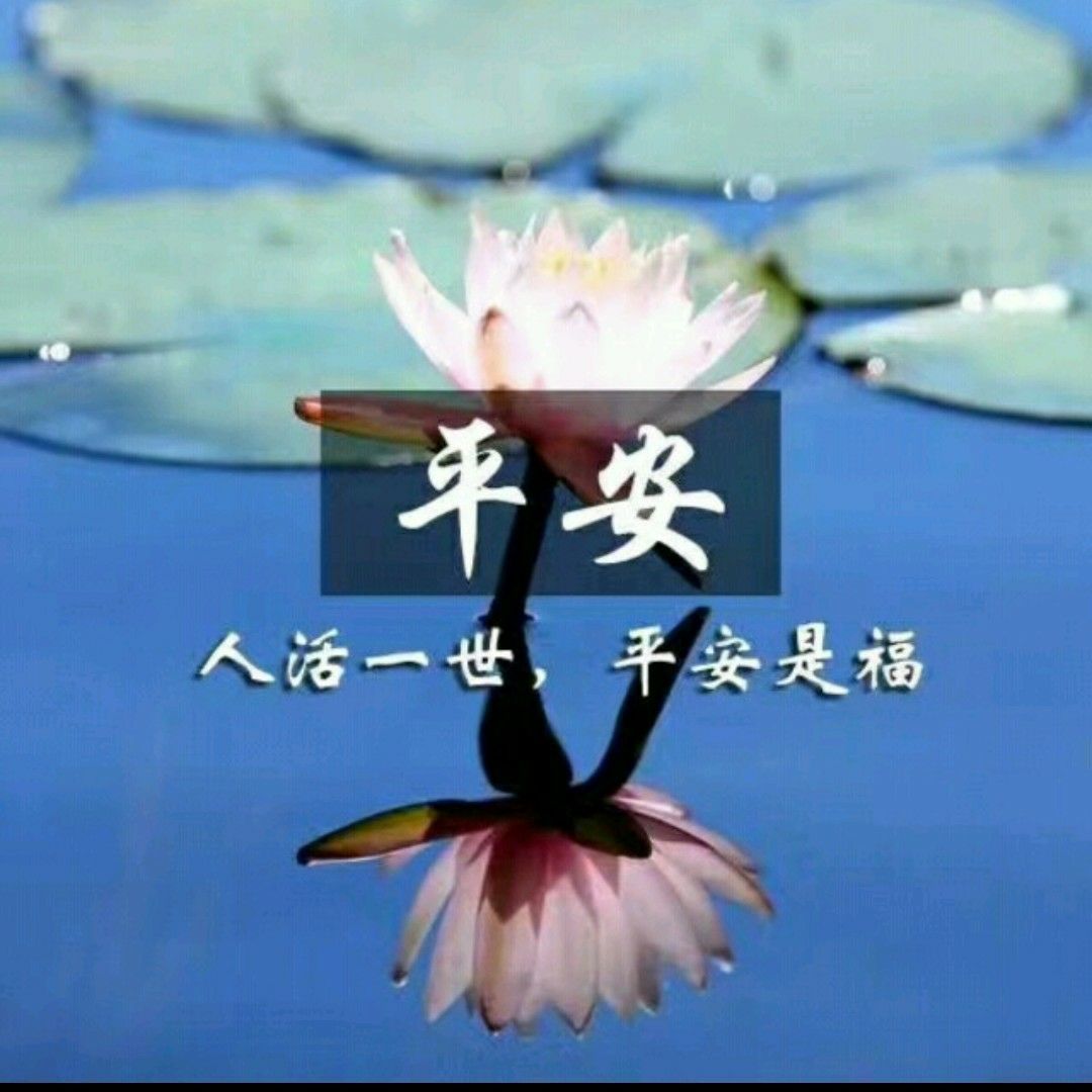 平安好生活app官网_平安好生活保险_平安好生活