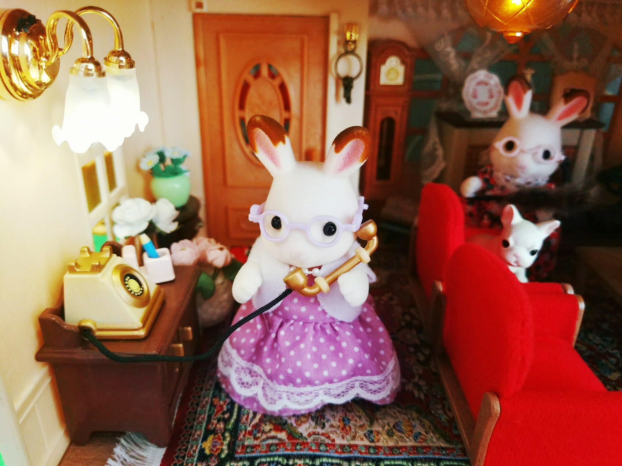 福木兔_福木兔_福木兔
