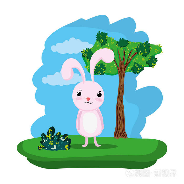 福木兔_福木兔_福木兔
