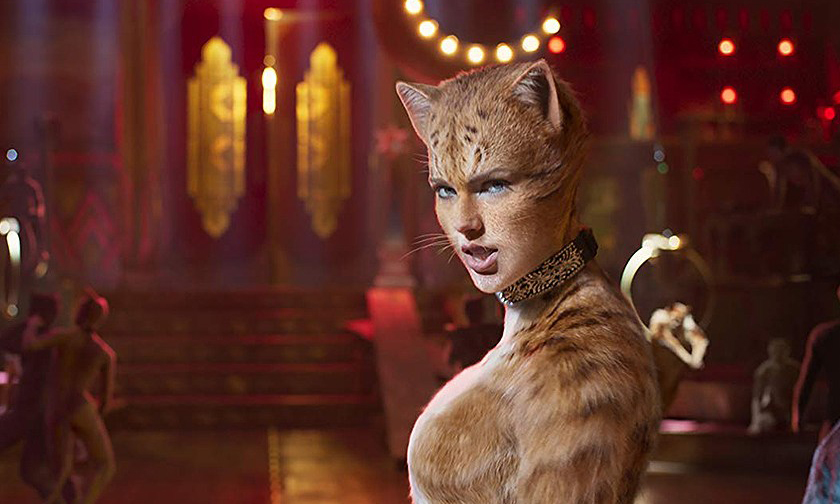 七猫免费阅读小说_快猫免费_猫免费领养