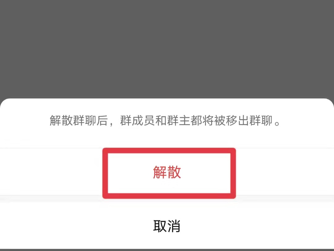 群解散了还能看到聊天记录吗_群聊解散还能看到聊天记录吗_群解散可以看到聊天记录