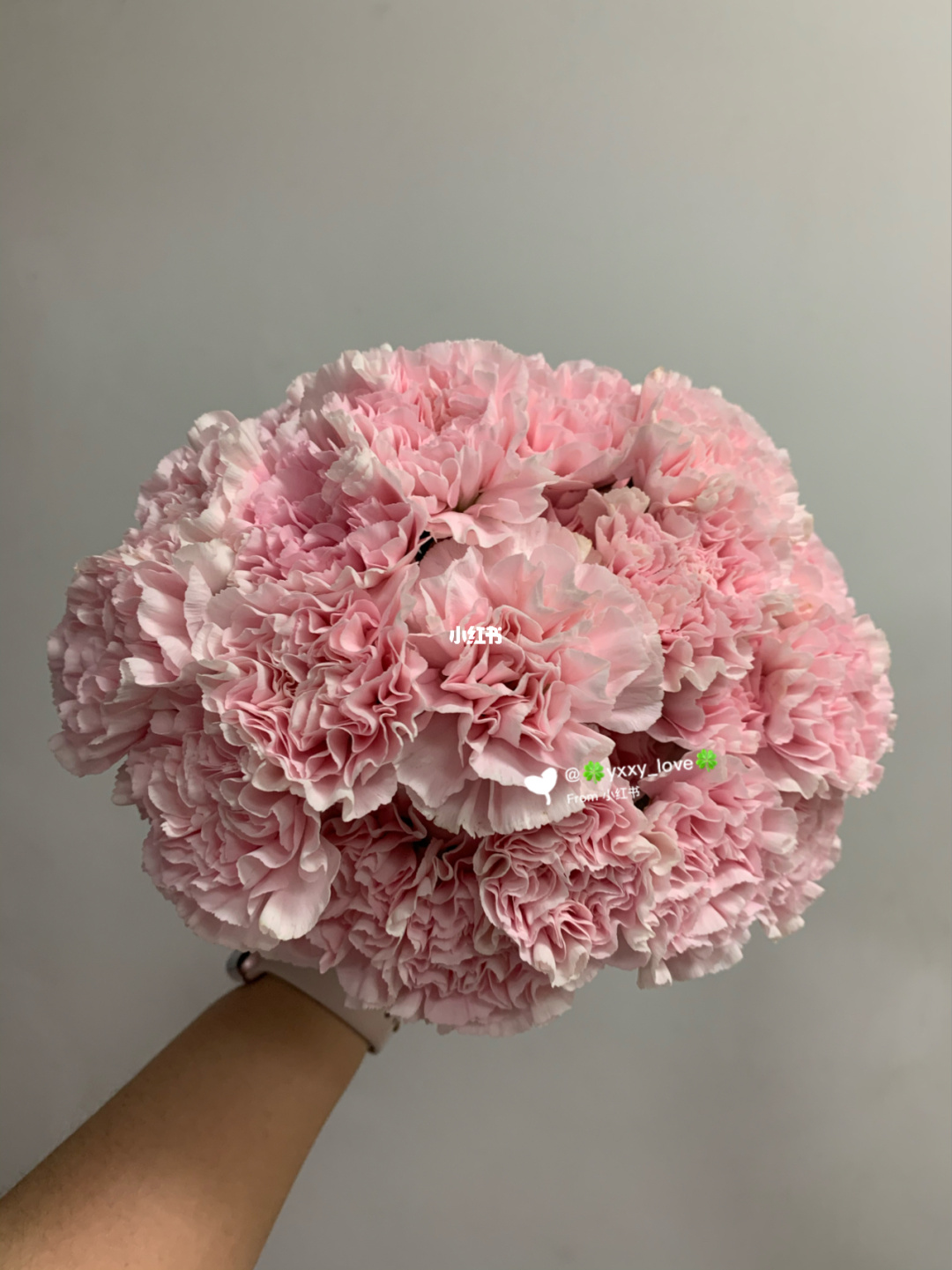 百花缭乱是什么职业_百花缭乱柳生义仙_百花缭乱