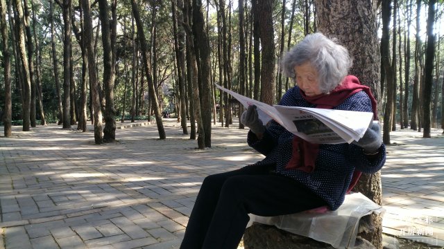 安卓游戏触碰美女_老人机电信手机_触碰手机变成老人机的游戏