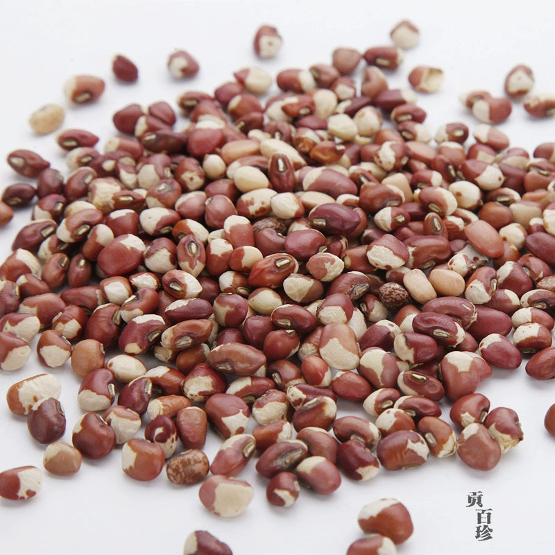qcc彩豆圈_豆彩瓷器_彩豆