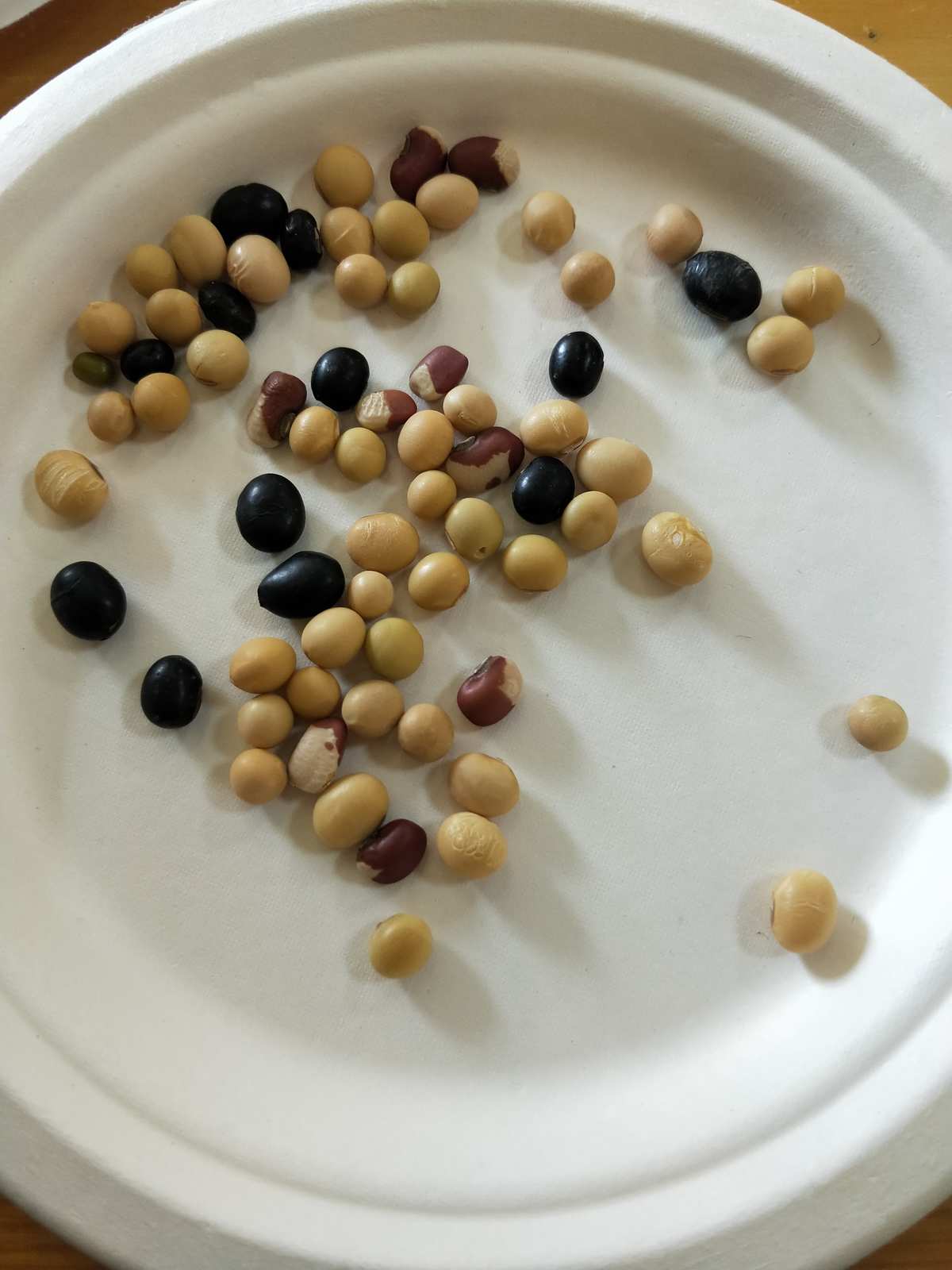 豆彩瓷器_qcc彩豆圈_彩豆