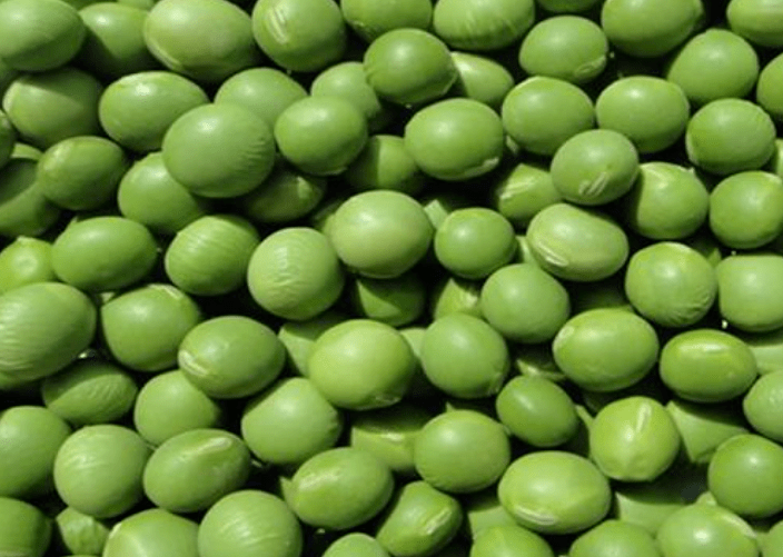 qcc彩豆圈_彩豆_豆彩瓷器
