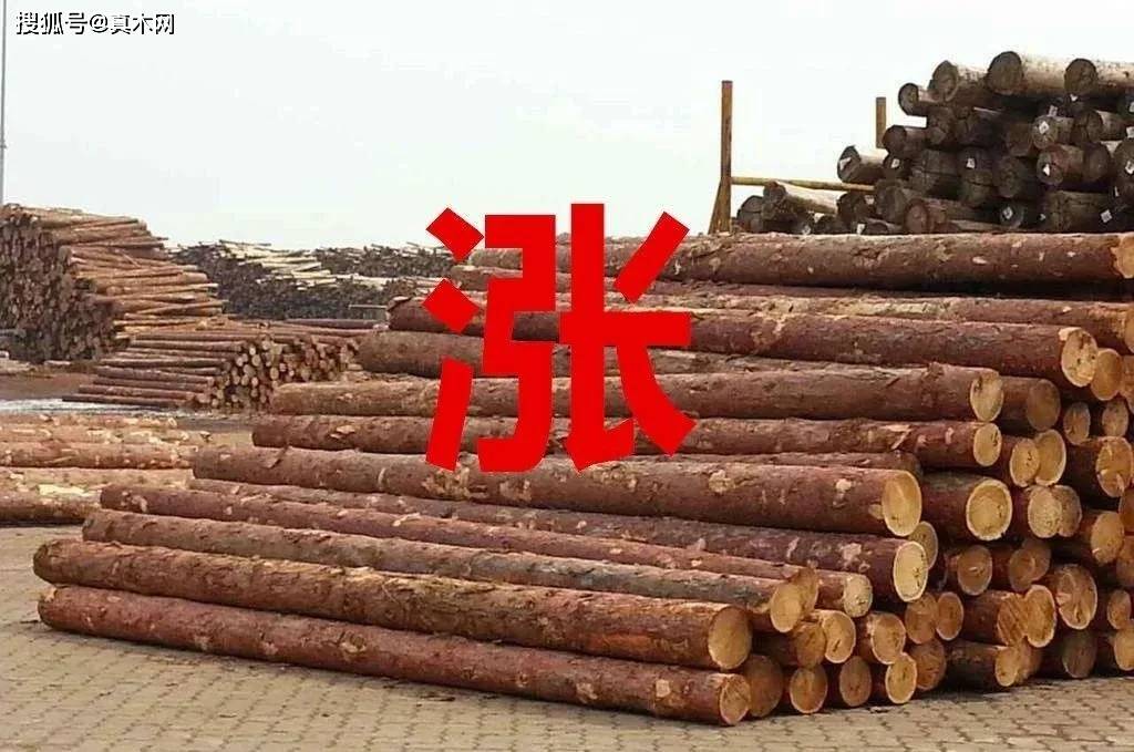 位置_位卑未敢忘忧国_二位由木人
