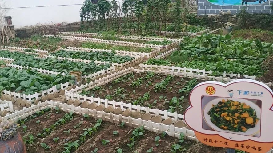 保卫菜园手机游戏怎么玩_保卫菜园手机游戏_保卫菜园手机游戏攻略
