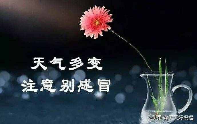 节气秋分的诗句_节气秋分教案_秋分节气