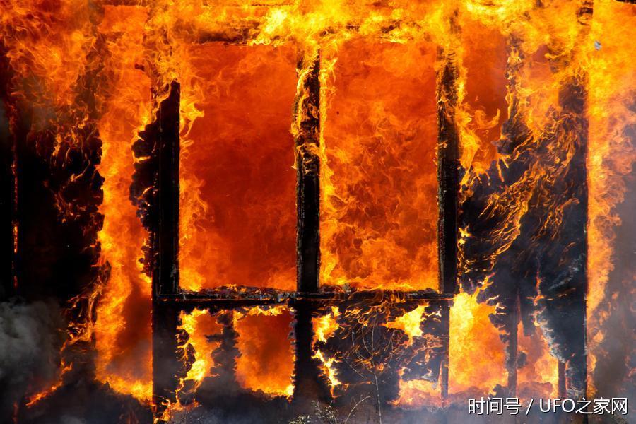 丛林地狱下载安装_丛林地狱正版下载_丛林地狱游戏手机版下载