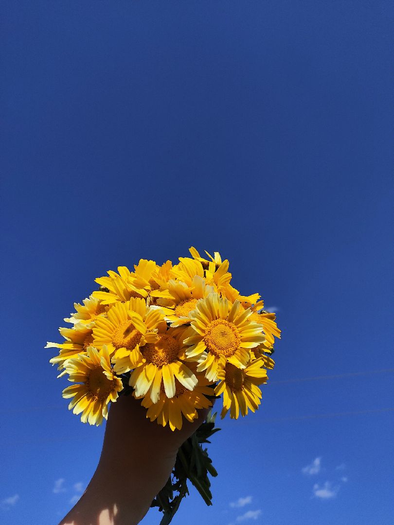 曹操游戏推荐手机_一款曹操的单机手游_单机游戏曹操