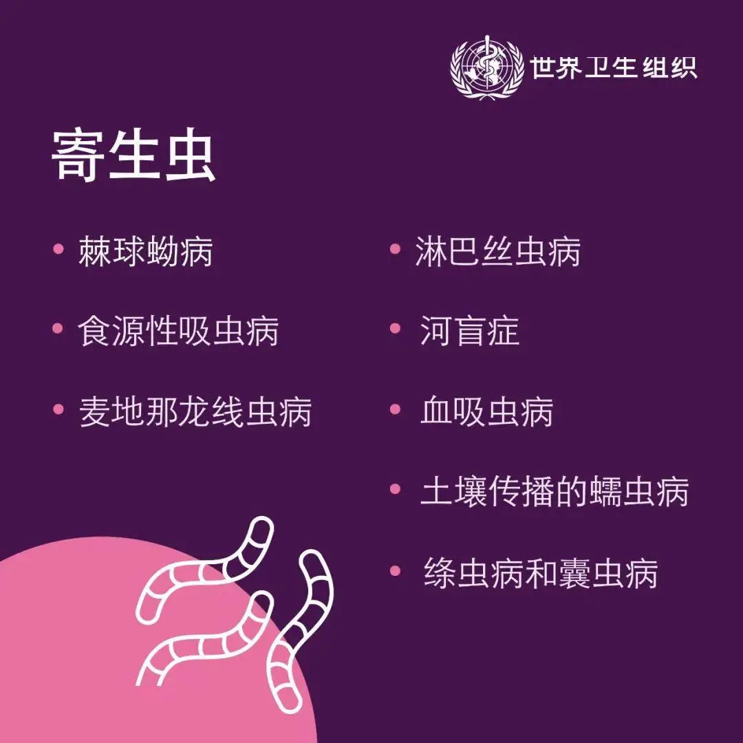 衔尾蛇组织_衔尾蛇病毒_衔尾蛇病毒威斯克