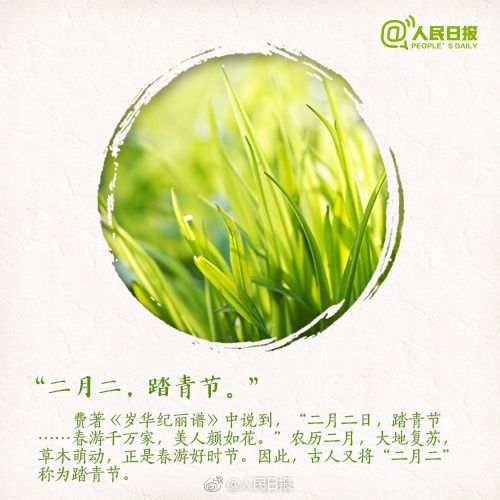 抬头龙小说_抬头龙的图片大全_龙抬头几点