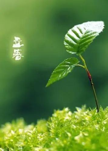 抬头龙的图片大全_龙抬头几点_抬头龙小说