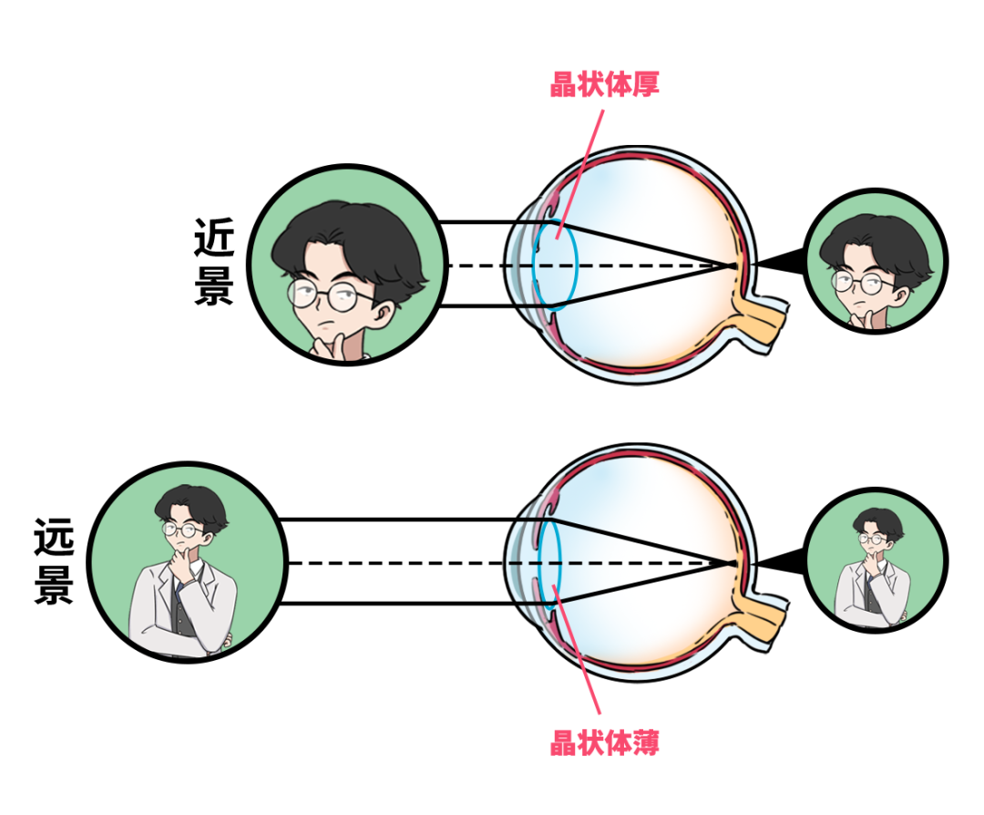 儿童免费手机游戏大全_十大费眼游戏_儿童费眼手机游戏