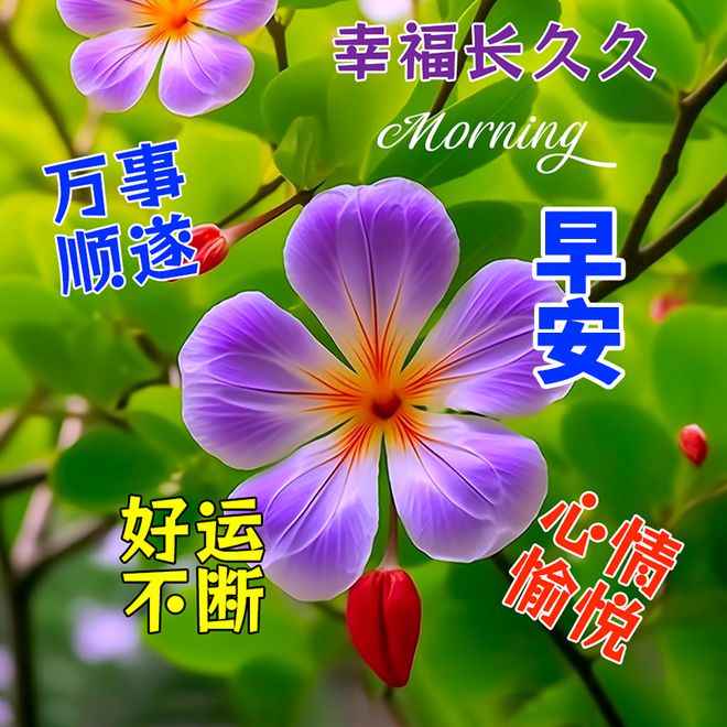 日历表年月日显示温度_2024年的日历表_日历表年月日