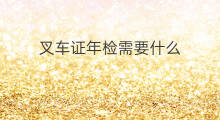 bug怎么读_bug怎么读_bug怎么读