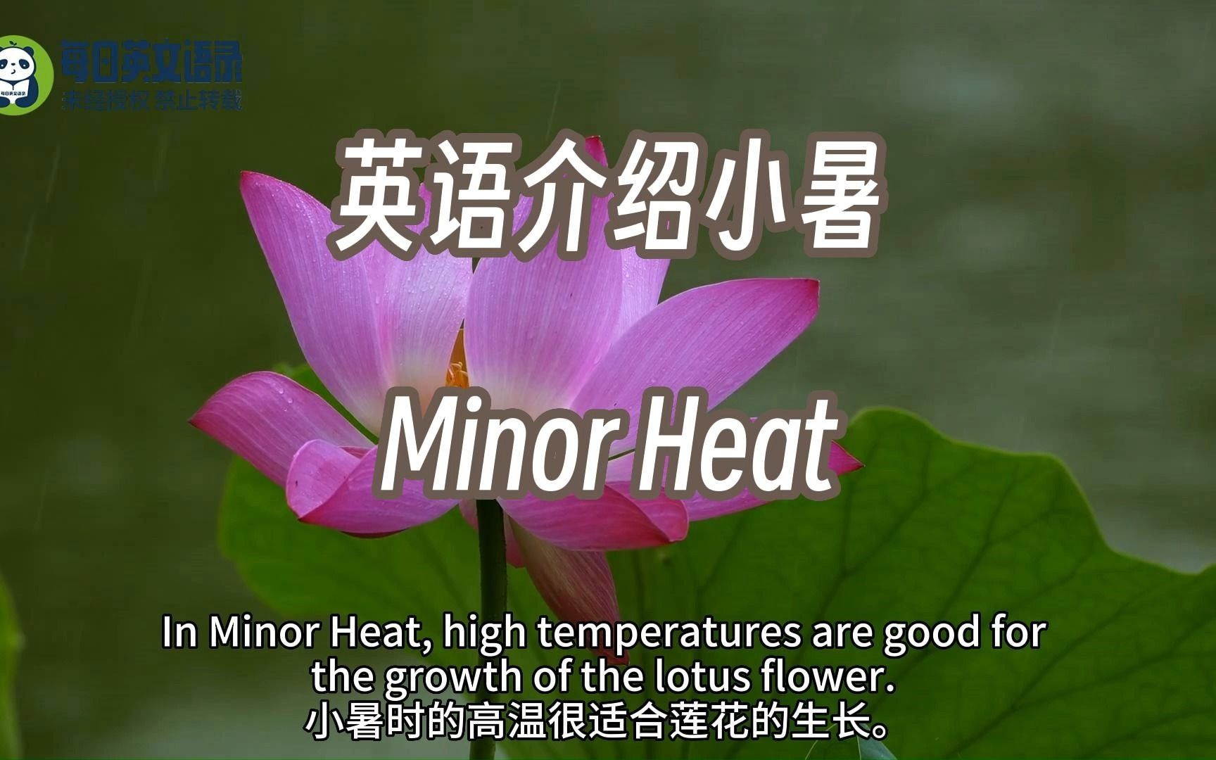古诗小暑左河水拼音版_小暑的古诗四句_古诗小暑左河水
