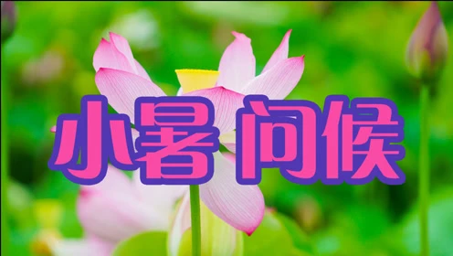 古诗小暑左河水_古诗小暑左河水拼音版_小暑的古诗四句