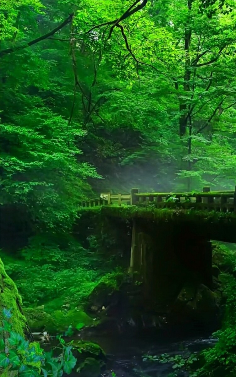 玛茵_玛茵图片_玛茵和塔兹米